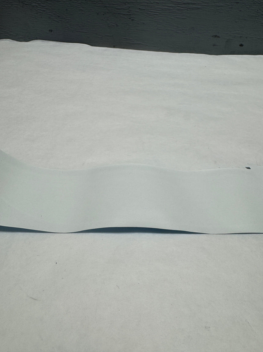 2016-2017 Ford Mustang Driver Side RS Ebony Stripe Tape OEM GR3Z-6320001-AC