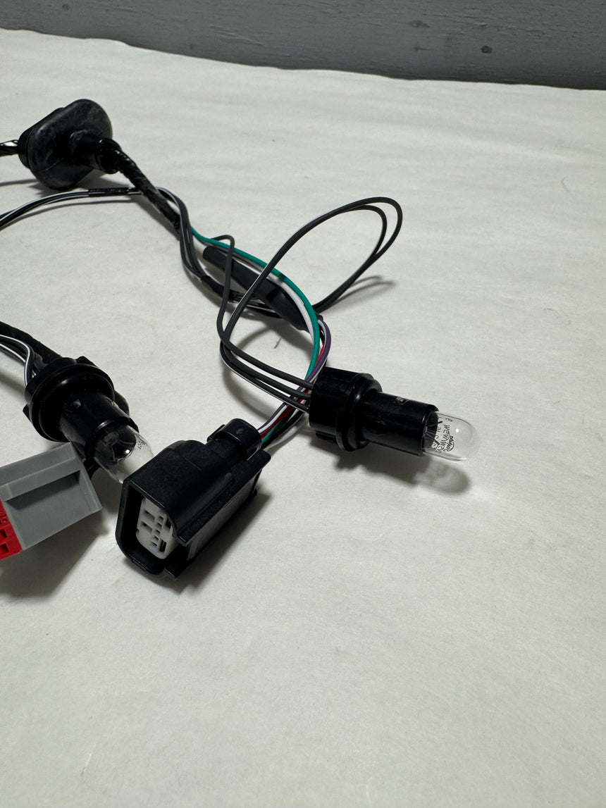 2017-2019 Ford Escape Rear License Plate Light Lamp Socket Wiring Harness OEM