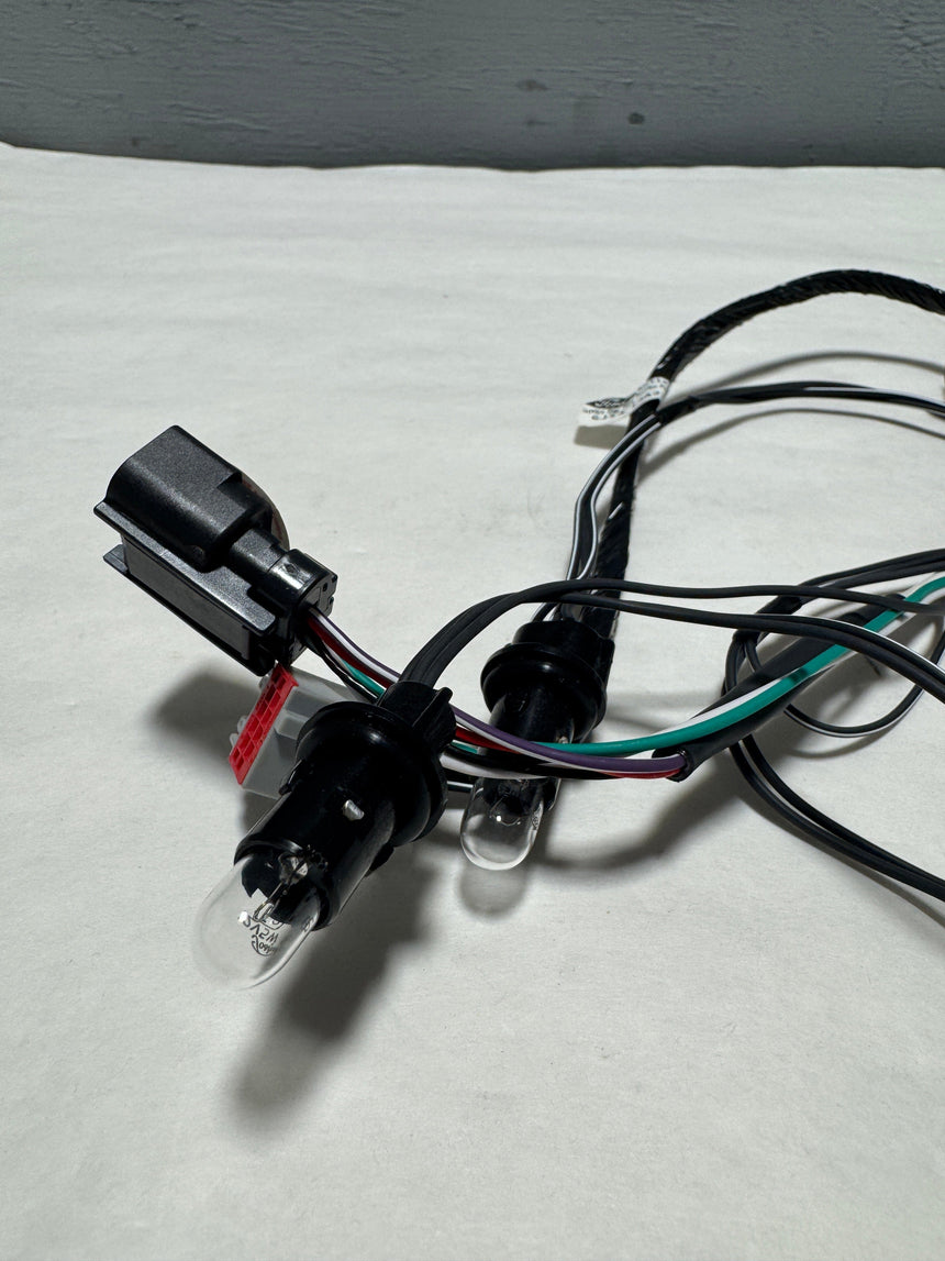 2017-2019 Ford Escape Rear License Plate Light Lamp Socket Wiring Harness OEM
