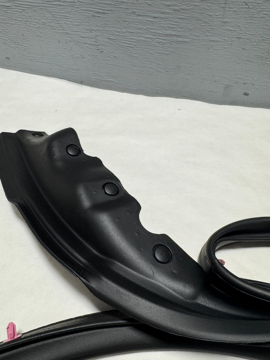 2017-2020 Ford F-150 Driver Front Door Opening Weatherstrip Seal OEM Genuine