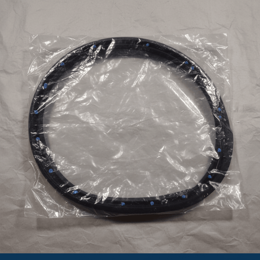 2001-2007 Chrysler/Dodge Passenger Front Door Weatherstrip Genuine OEM