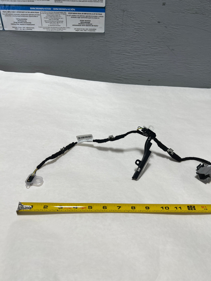 2015-2020 Ford F-150 Crew Cab Driver Side Front Door Ambient Lighting Wire Genuine New