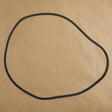 2016-2020 Kia Sorento Driver Door Body Side Inner Weatherstrip OEM