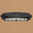 2017-2019 Chevrolet Bolt EV Front Bumper Lower Grille OEM