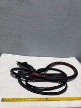 2017-2020 Ford F-150 Driver Front Door Opening Weatherstrip Seal OEM Genuine