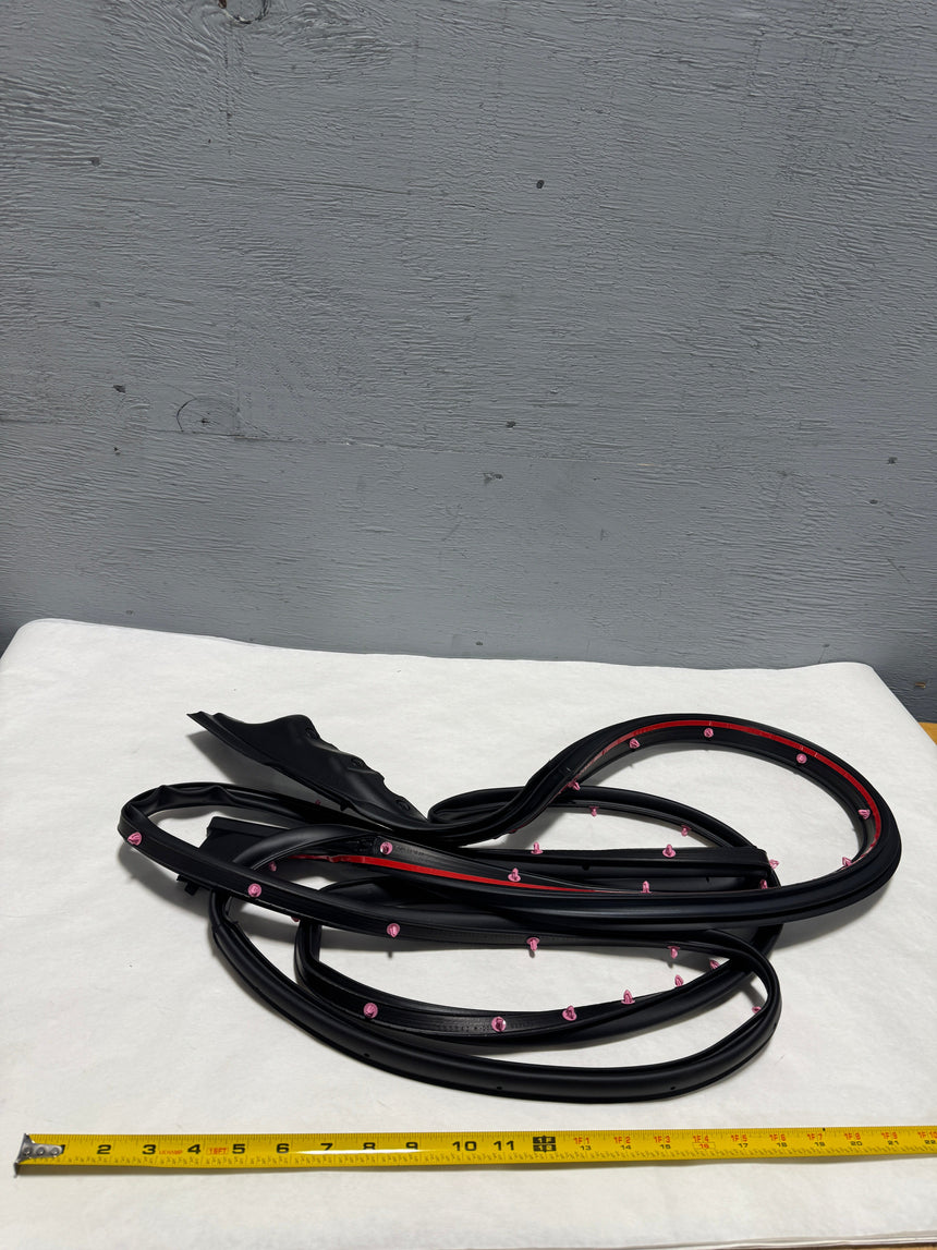 2017-2020 Ford F-150 Driver Front Door Opening Weatherstrip Seal OEM Genuine
