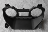 2017-2022 Ford Super Duty Dash Speedometer Cluster Lens Genuine OEM