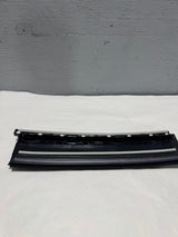 2017-2025 Ford F-250 F-350 Crew Cab Driver Side Back Door Applique Trim Molding OEM
