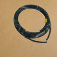 2020-2024 Toyota Corolla Sedan Rear Back Glass Weatherstrip Seal OEM