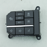2021-2026 Ford F-Series Expedition Steering Wheel Switch Driver Side - Middle Detail
