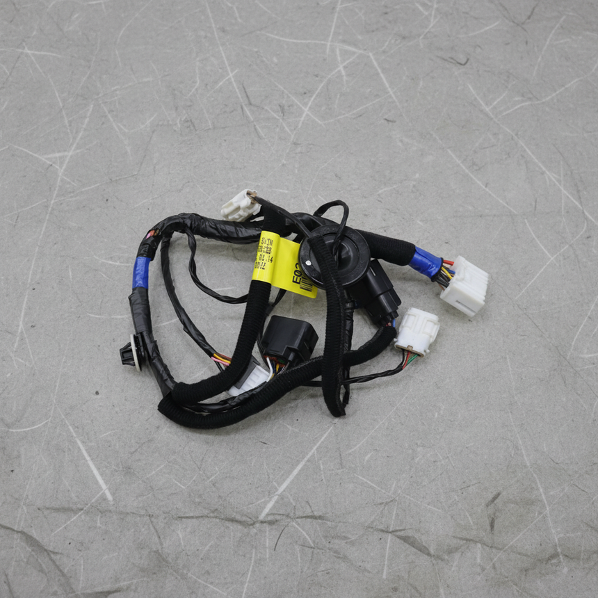 Kia Sedona Rear Passenger Side Door Wiring Harness Full View